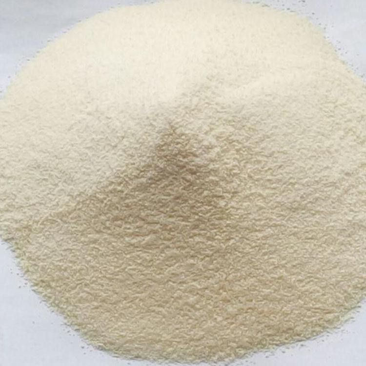 凝结芽孢杆菌（又称乳酸芽孢杆菌）